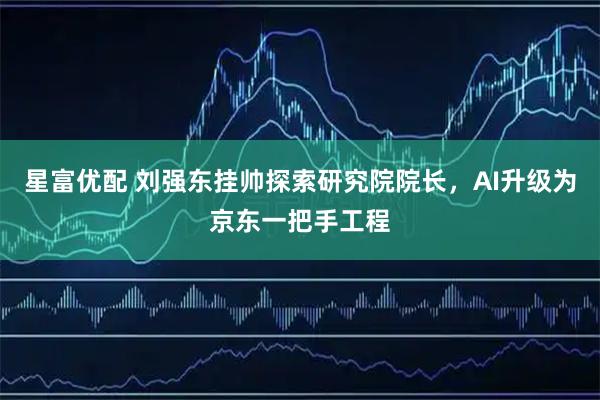 星富优配 刘强东挂帅探索研究院院长，AI升级为京东一把手工程