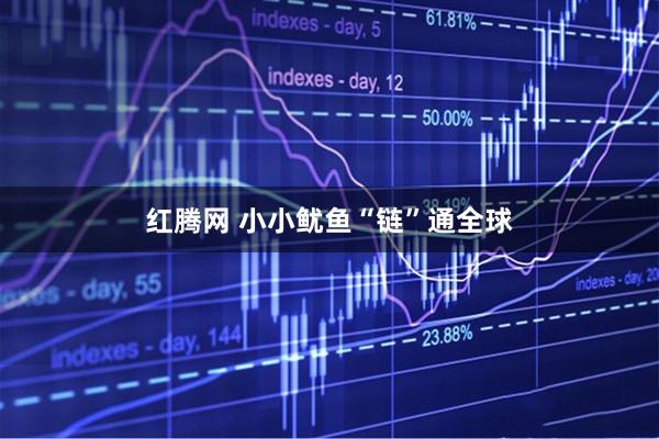 红腾网 小小鱿鱼“链”通全球