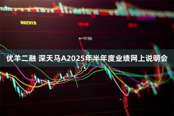 优羊二融 深天马A2025年半年度业绩网上说明会